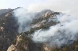 辽宁千山风景区发生山火 目前火势已经得到控制