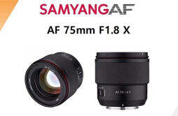 森养 Samyang AF 75mm f1.8 富士 X 卡口镜头实物曝光