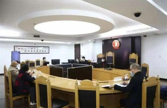 上海一独生女把自己告上了法庭