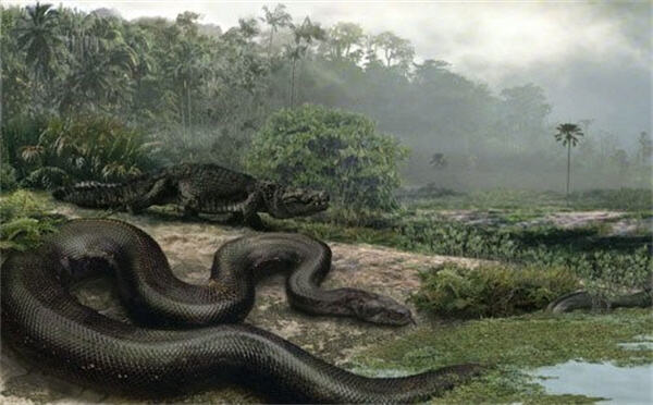 广西发现史前大型蛇类遗存