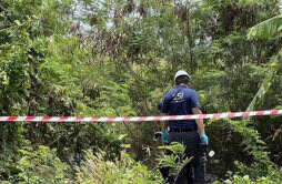 在泰国杀害女留学生3嫌犯湖在北襄阳已经落网