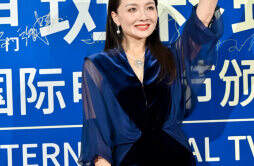 奚美娟获上汽大众威然之夜第三届斑彩螺奖最具影响力女演员