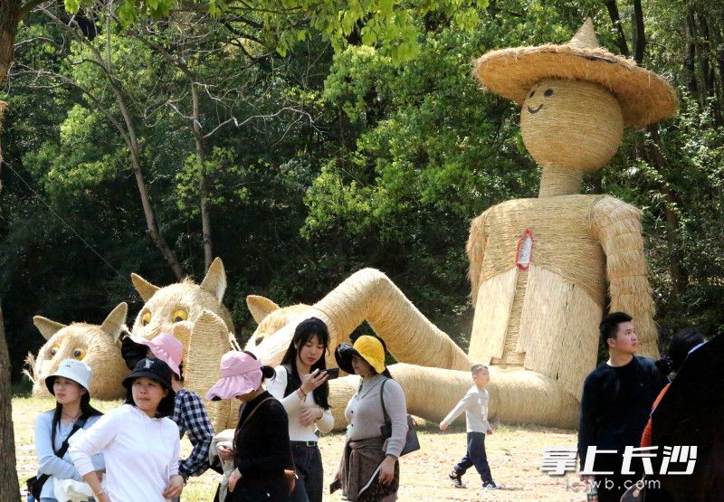 今日，长沙天气晴好，石燕湖景区稻草王国亲子奇遇记吸引不少游客前来赏景打卡。图片均为长沙晚报全媒体记者 贺文兵 摄