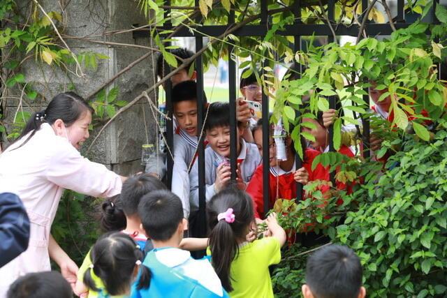 幼儿园的小朋友跟一墙之隔的小学里的大哥哥们握手交流。