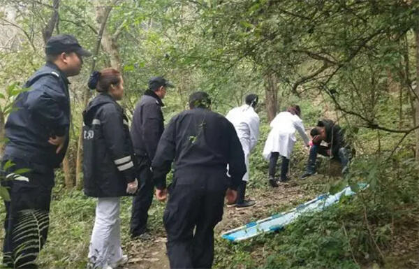 警方回应3人在四川一林场一同自杀