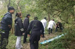 警方回应3人在四川一林场一同自杀