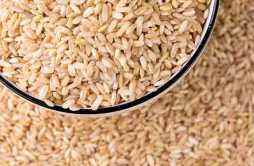 糙米的营养价值及营养成分