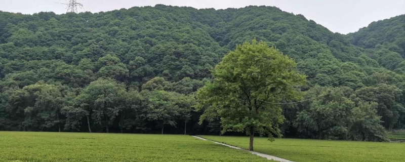 邵阳景点排行榜 邵阳人气最旺的十大景点