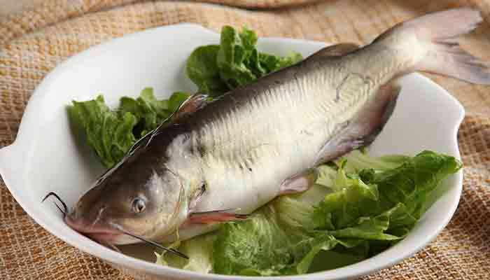 平鱼的营养价值及营养成分