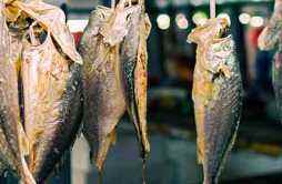 鱼翅的营养价值及营养成分