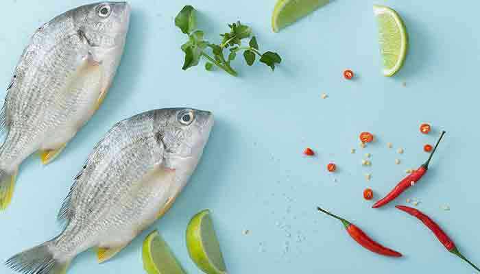 笔管鱼的营养价值及营养成分