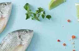 雪斑鱼的营养价值及营养成分