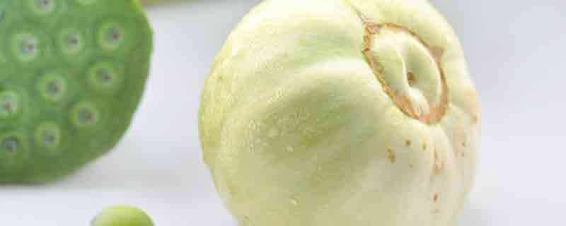 白金瓜的营养价值及营养成分