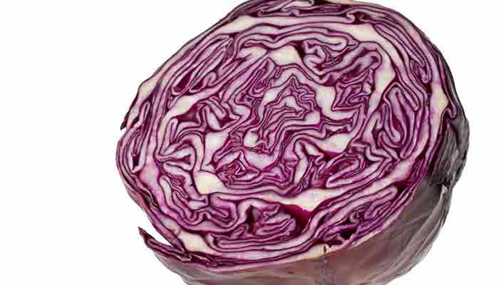 紫椰菜的营养价值及营养成分
