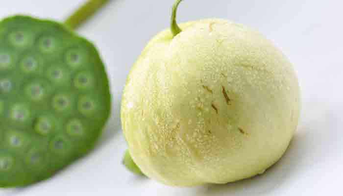 白金瓜的营养价值及营养成分