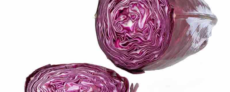 紫椰菜的营养价值及营养成分