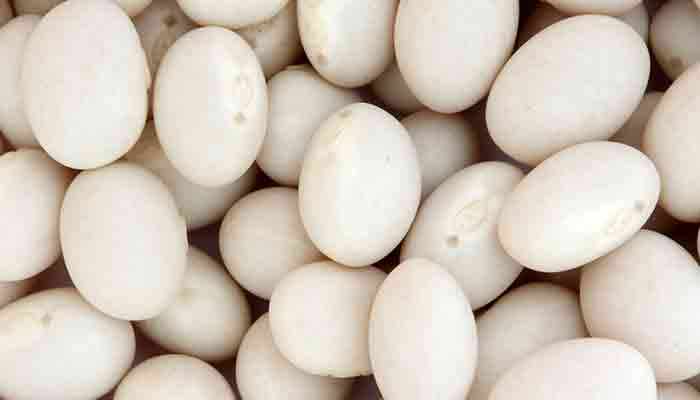 白豆的营养价值及营养成分
