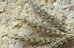 河南下拨2亿用于小麦烘干 密切关注农民朋友的利益