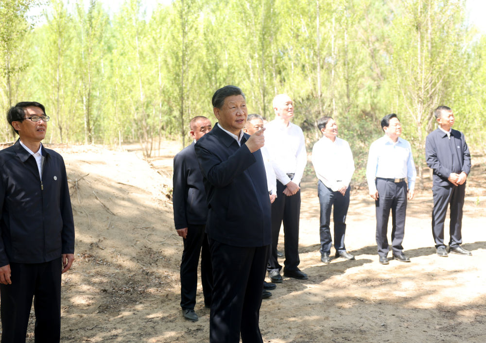 6月5日至6日，中共中央总书记、国家主席、中央军委主席习近平在内蒙古巴彦淖尔考察，并主持召开加强荒漠化综合防治和推进“三北”等重点生态工程建设座谈会。这是6日上午，习近平在临河区国营新华林场考察。新华社记者 鞠鹏 摄