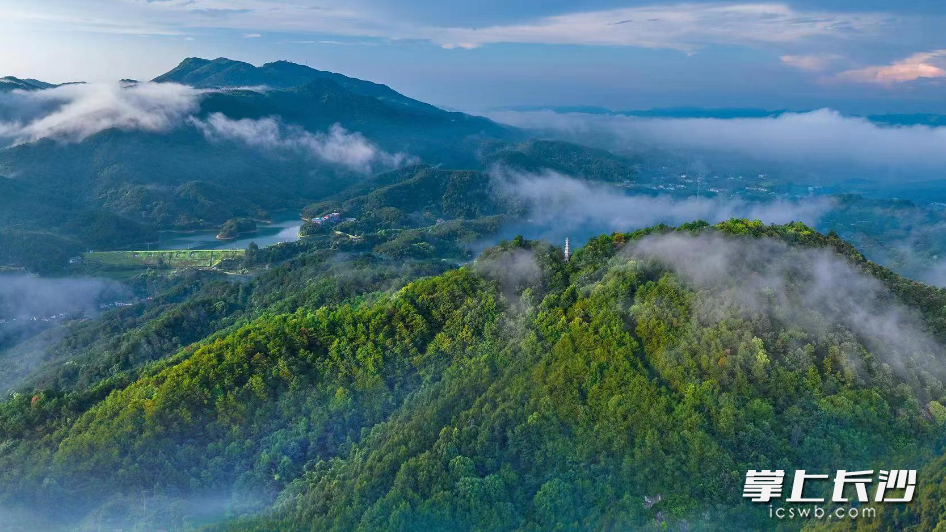 天华山风景秀丽，绿树苍翠，仿若一幅生态画卷，被评为国家4A级旅游景区。均为青山铺镇供图