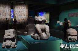 一群萌萌美洲豹“闯入”湘博举办的墨西哥古代文明展