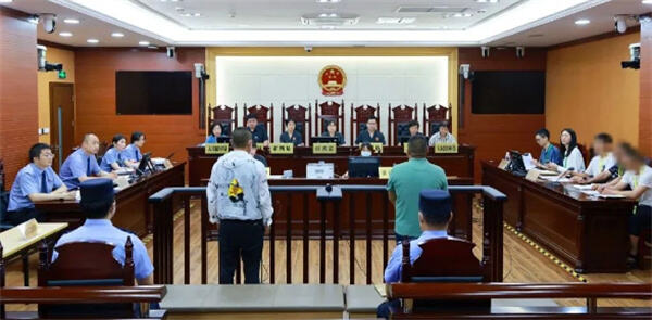 上海首例盗伐林木刑事附带民事案宣判拘役4—6月不等
