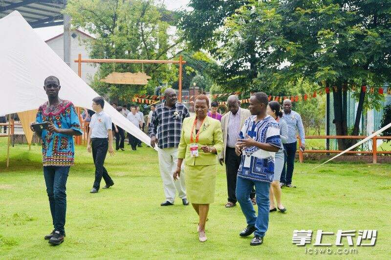 乌干达驻华大使奥利弗·沃内卡女士一行在开福区河村非洲园考察交流。均为通讯员 伍丹丹 供图