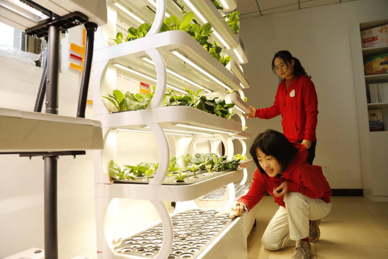 北京西樊各庄科技小院的学生在查看园艺种植机器中植物生长情况（受访学生供图）