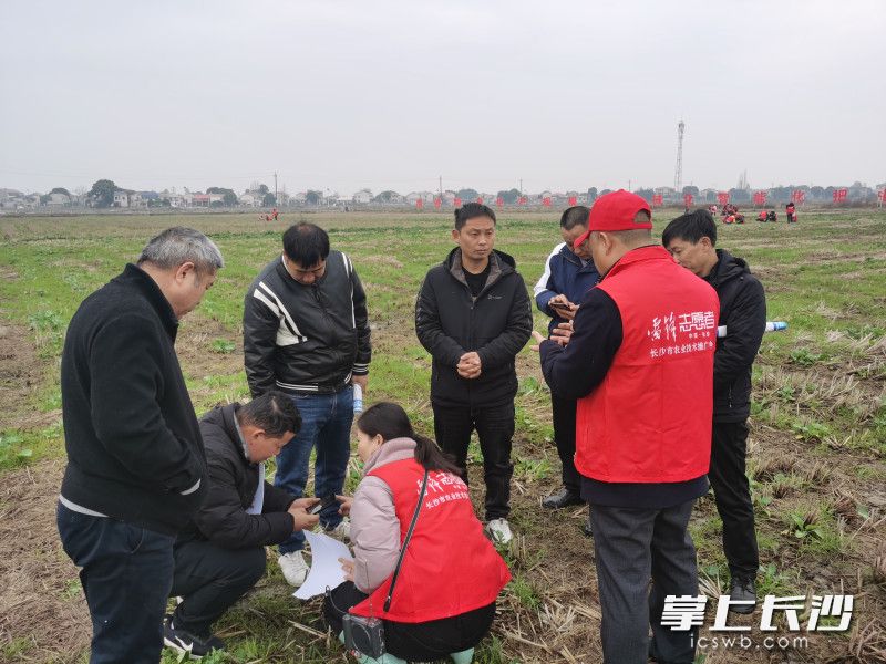 长沙市动植物疫病预防控制中心的专家在田里和农户一同查看情况。  长沙晚报通讯员 姚艳红 供图