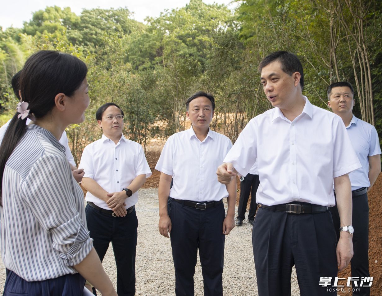 周海兵在宁乡市大成桥镇青泉社区现场督办突出生态环境问题整改情况。  长沙晚报全媒体记者 郭雨滴 摄