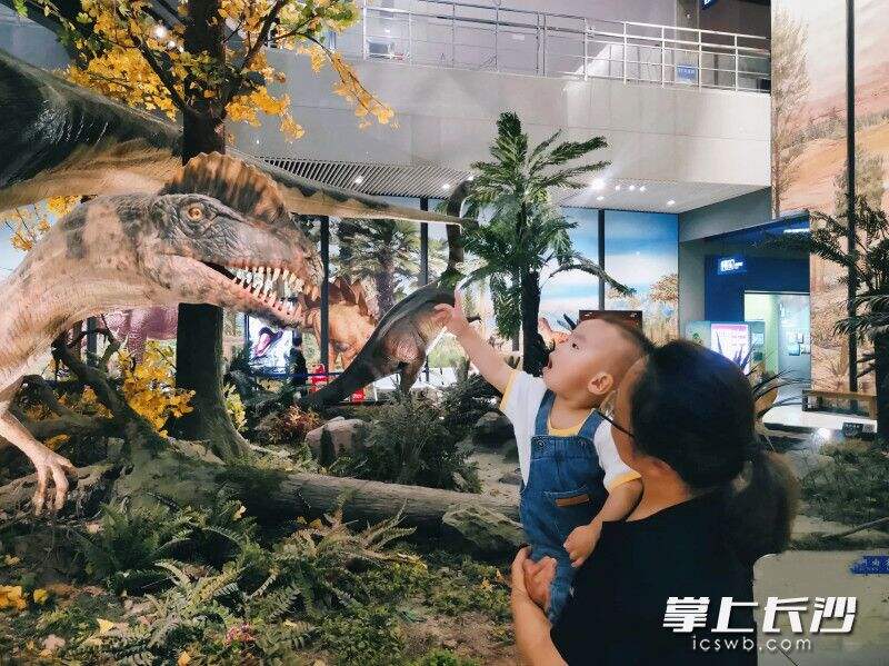 湖南省地质博物馆里展出的巨型恐龙模型，历来是遛娃必打卡之处。
