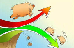 本周猪价继续磨底 生猪交易均重继续下滑 养殖方减重减亏