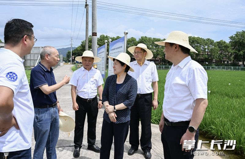 吴桂英在中国科学院长沙农业环境观测研究站北山分站调研。