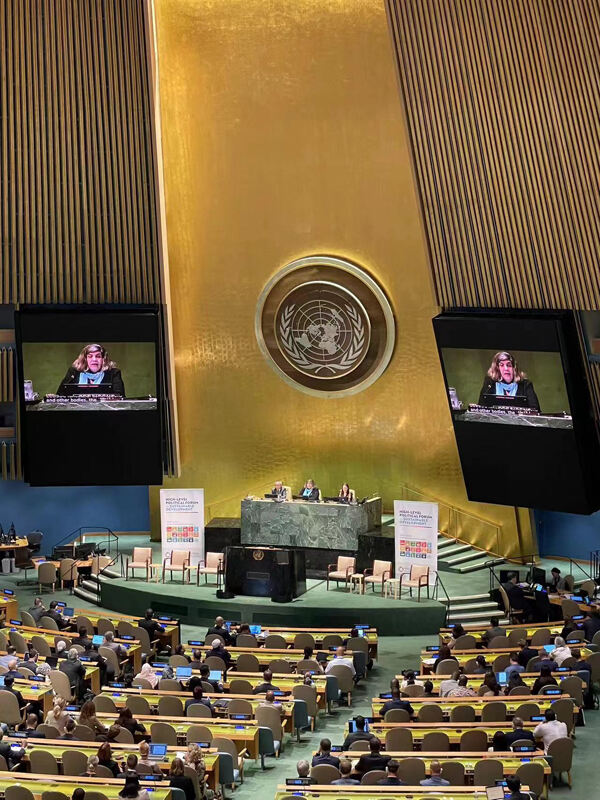 王杰克逊代表联合国国际信息发展组织受邀出席联合国总部大会