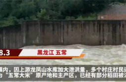 五常大米产地被洪水淹没