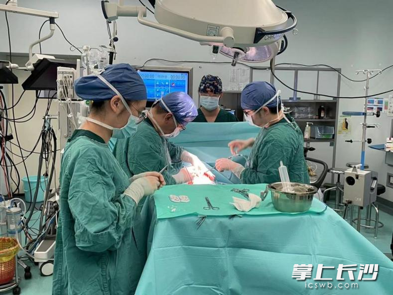 中南大学湘雅医院专家团队为双胞胎兄弟开展手术。 长沙晚报通讯员  吴东凯 摄