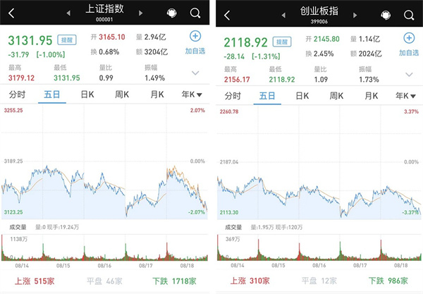 两市逾4000股收跌：沪指跌1%