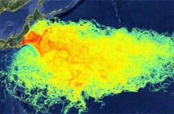 核污染水3000天横跨太平洋 核污染水流向这几个国家