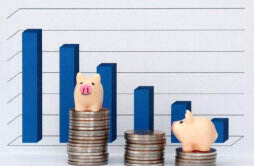 三大上市猪企负债攀升 生猪市场的出路在哪 未来会有改善