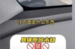 杭州高架为何禁止特斯拉通行？官方这样回应