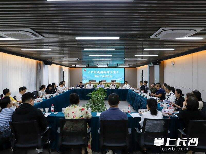 《中国戏曲剧种全集》湖南工作调研会在湖南省艺术研究院召开。
