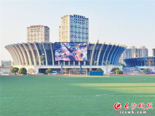 杭州亚运会浙江工商大学手球馆安装了利亚德显示屏。受访者供图