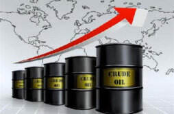 石油原油期货市场的交易规则有哪些 投资者需遵守这些规则