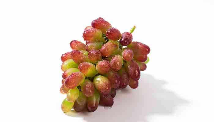 马奶子葡萄的营养价值及营养成分