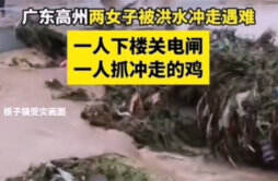 广东高州两女子被洪水冲走遇难 遇难的原因总结