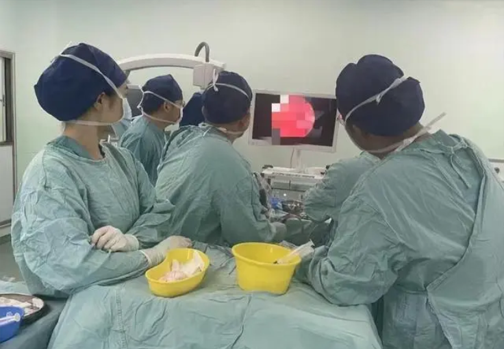 湖南省人民医院神经外科一病区孙圣礼主任医师团队在内镜下为患者切除垂体瘤。通讯员 肖洁 供图