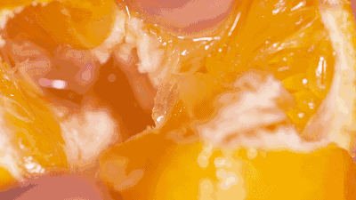 △冰糖橙沁甜的果汁与脆嫩的果肉涌入口腔，吃完一个绝对会忍不住再吃一个！