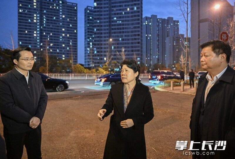 吴桂英实地暗访湖南名凯捷智能科技有限公司土地闲置问题。
