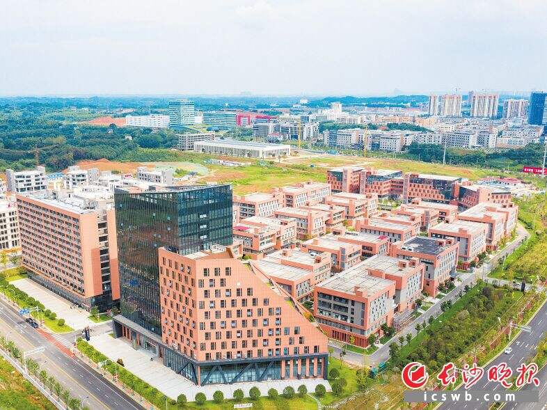 金霞未来科技城成为开福区医疗健康产业集聚区的引擎。