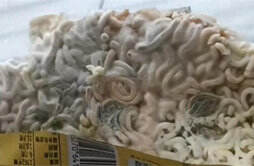 厂商回应白象方便面有大片霉菌 为何方便面有大片霉菌